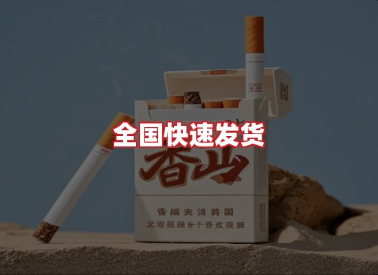 专业团队